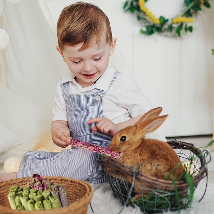 32Pcs Timothy Hay Sticks 320G for Rabbit, Guinea Pig, Hamster - Natural Handmade Treats and Chews for Teeth - Chinchilla, Rat, Gerbil Toys