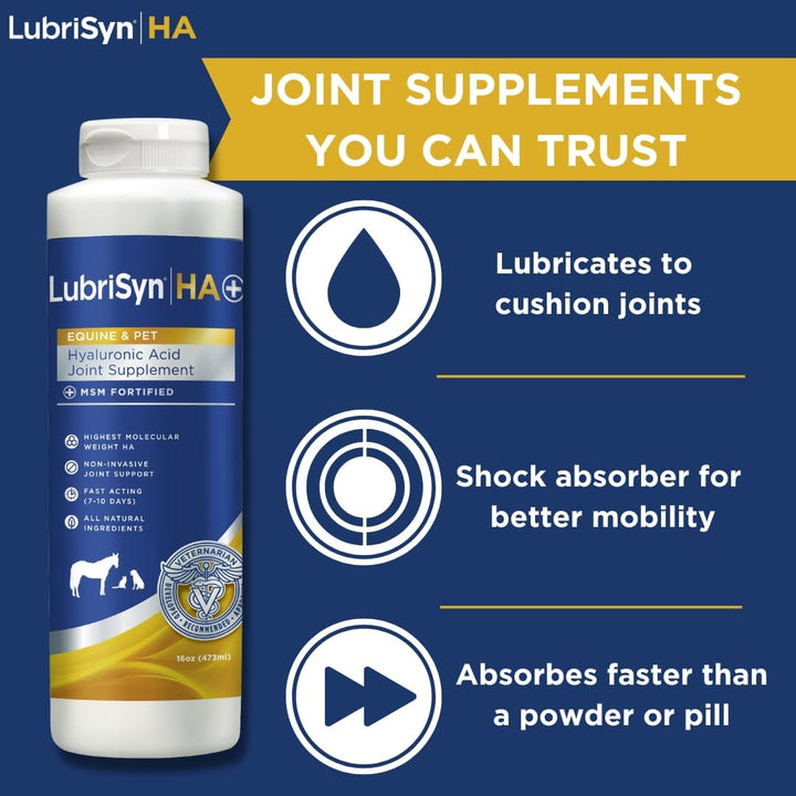 Hyaluronic Acid + MSM Joints Supplement, 16Oz: Natural Pure HA Liquid Dog and Cat Joint & Cartilage Support, Relief, and Lubrication for Pets Including Dogs, Cats and Horses, Vegan Formula