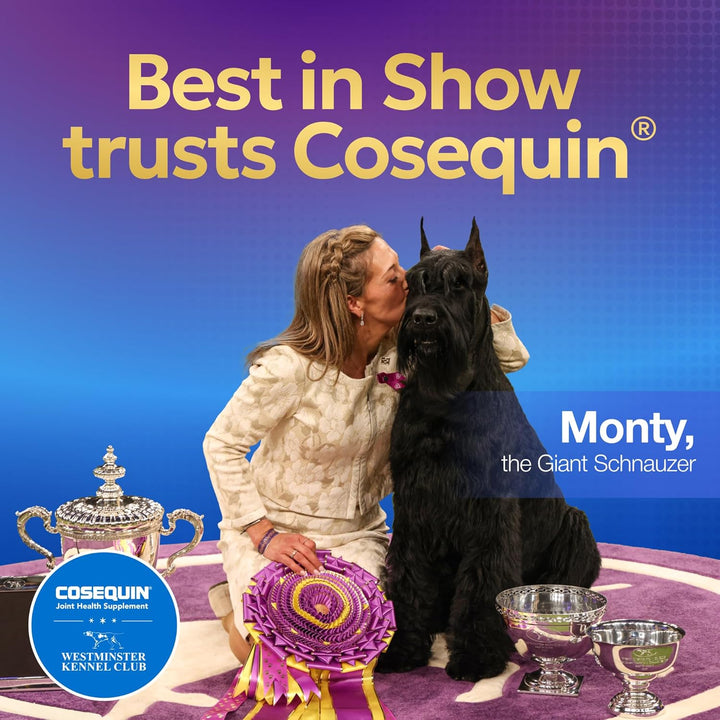 Cosequin for Dogs Joint Health Supplement, Contains Glucosamine for Dogs, plus Chondroitin and MSM, Supports Healthy Joints, for All Breeds and Sizes, Chewable Tablets, 132 Count