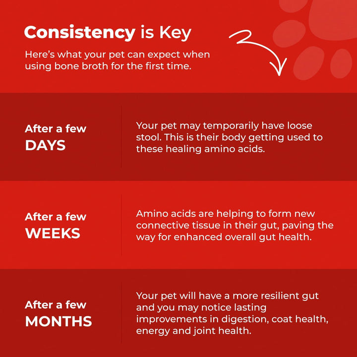 Beef Bone Broth for Dogs - High Protein Bone Broth for Cats - Beef Bone Broth Powder for Dogs - Dehydrated Beef Cat Food Toppers - Dog Safe Bone Broth - Bone Broth Topper for Dogs