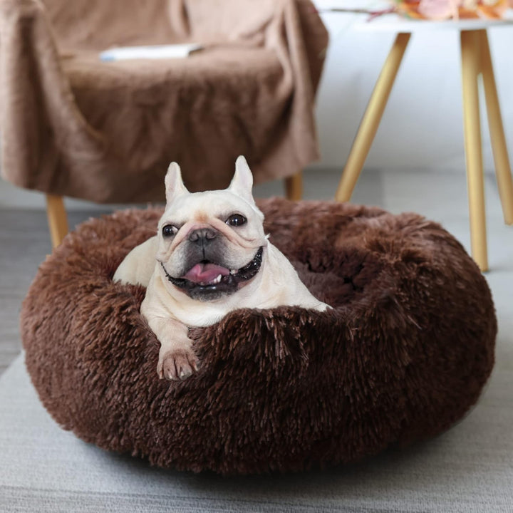 Small Calming Dogs Bed for Small Dogs Anti-Anxiety Machine Washable Fluffy Luxury Anti-Slip Waterproof Mute Base Warming Cozy Soft Pet Puppy round Bed