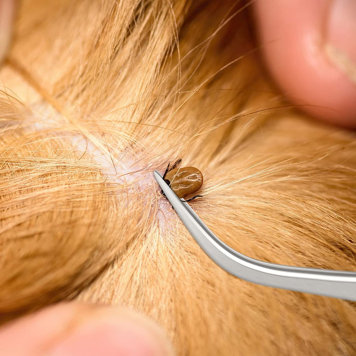 Tick Remover Tool Set - Stainless Steel Tick Remover Kit for Cats Dogs and Humans(Pack of 3)