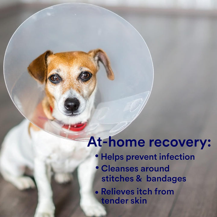 Wound Care for Pets, Hypochlorous Acid Removes Bacteria to Promote Healing and Relieves Itch, Safe If Licked, 8 Ounce Spray Bottle