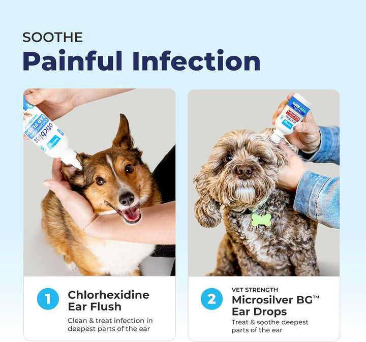 Oticbliss Cat & Dog Ear Infection Treatment Drops - with 1% Hydrocortisone & Microsilver BG for Dog Ear Infections - Vet Recommended Cat & Dog Ear Cleaner for Itchy Ear Relief