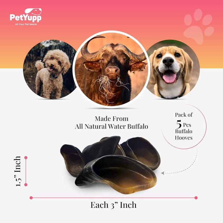 Buffalo Hooves for Dogs | Pack of 5 | Natural, High Protein & Low Fat Dog Treats for Small, Medium & Large Dogs | Rawhide Alternatives & Additives Free Dog Chews for Aggressive Chewers