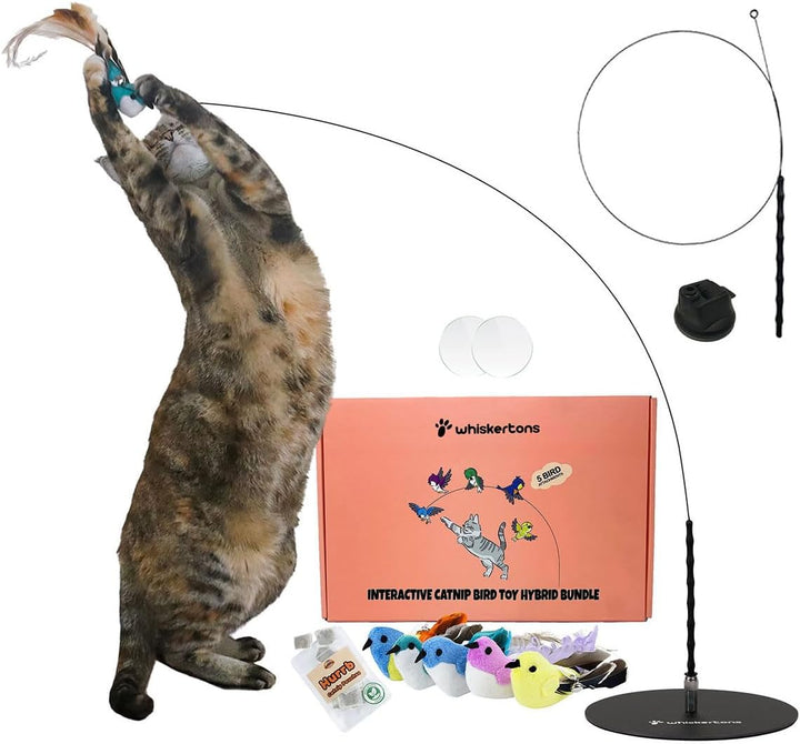 Interactive Bird Simulation Cat Toy Set, Interactive Cat Toys for Indoor Cats, Cat Feather Toy, Self-Holding Suction Base, 5 Replacement Birds, Feathers & Bells, Realistic Bird Impression