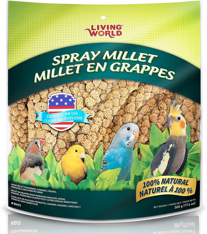 - Millet Spray for Birds, 3.5 Oz – Premium Treat for Budgies, Canaries, Finches, Cockatiels and Other Pet Birds