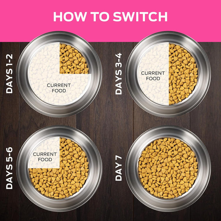 Purina UR Urinary Ox/St Canine Formula Dog Food Dry Kibble - 25 Lb. Bag