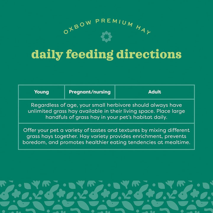 Animal Health Orchard Grass, Guinea Pig Hay, Rabbit Hay, Small Pet Bunny Supplies, All Natural Grass for Guinea Pig, Bunny, Chinchilla & Hamster,  Rabbit Supplies for Bunnies, 9 Lb. Box