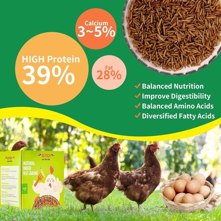 Dried Black Soldier Fly Larvae 10LB Non-Gmo BSF Larvae for Chickens More Calcium than Mealworms High-Protein Chickens Treats for Layer Hens Wild Birds Ducks