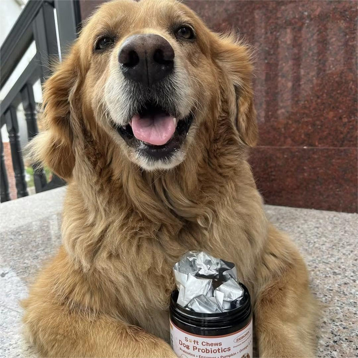 Probiotics for Dogs, Dog Probiotics for Digestive Health, plus Pumpkin and Fish Oil, for Gut & Itchy, 120 Soft Chews