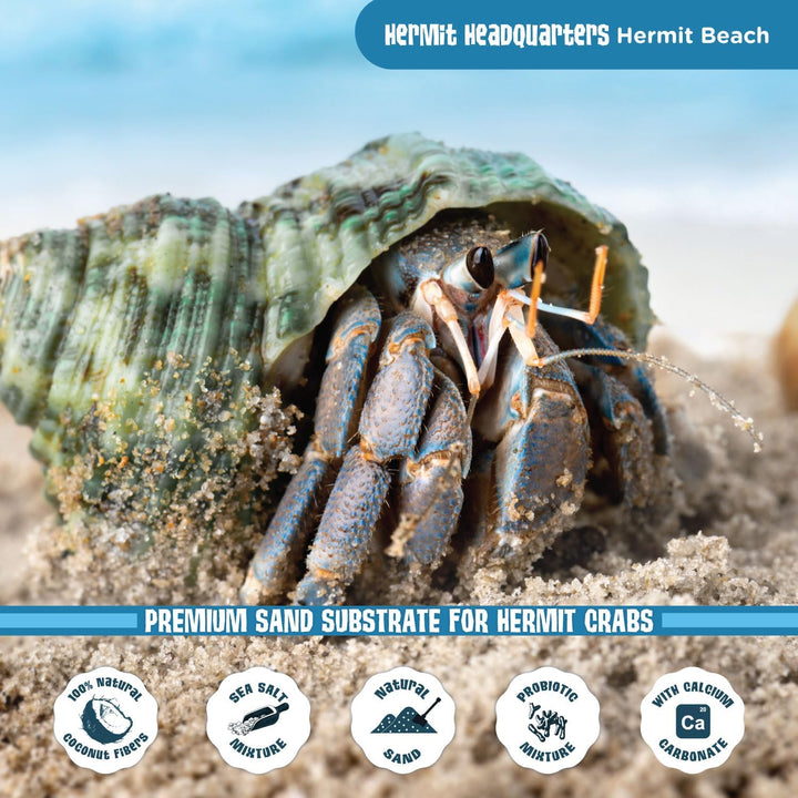 All-Natural Premium Sand Substrate Mixture for Hermit Crabs, 12Lbs