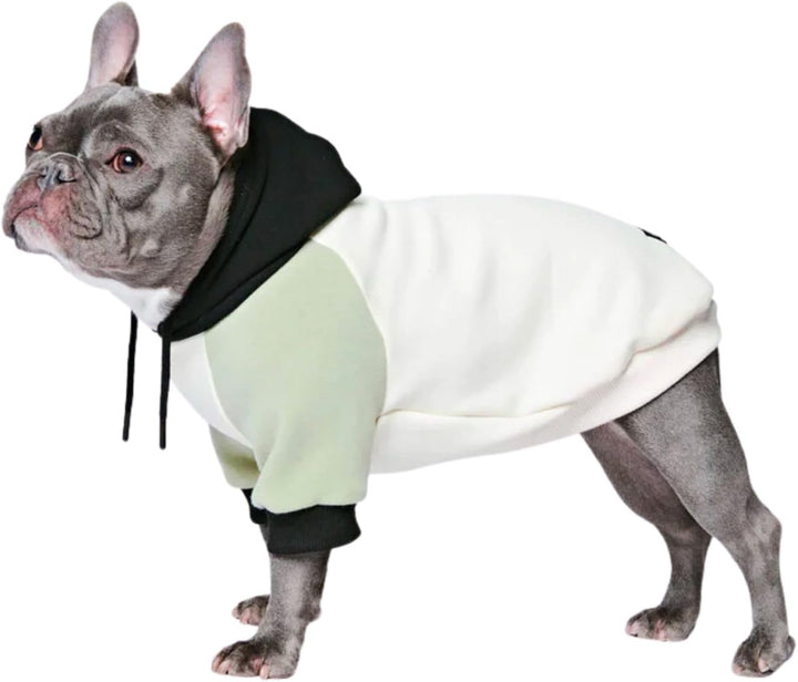 Dog Hoodie – Premium Dog Sweater for Small, Medium, and Large Dogs | Warm Outfits for French Bulldogs, Pitbull, Puppy, Winter Jacket Alternative - Cyber Punk - 3XL