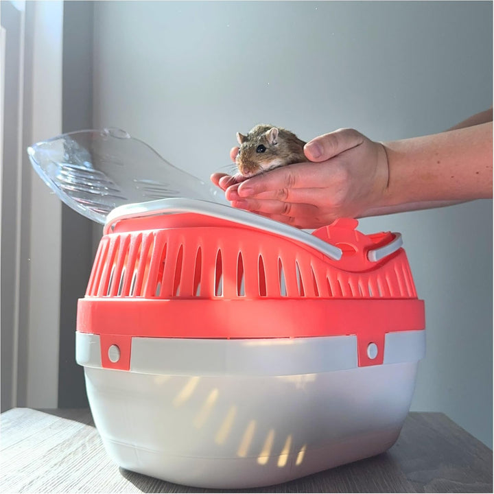 Pico Transport Crate, Small Pet Carrier, Portable Travel Carrier, for Small Pets, Hamsters, Guinea Pig, Lizards