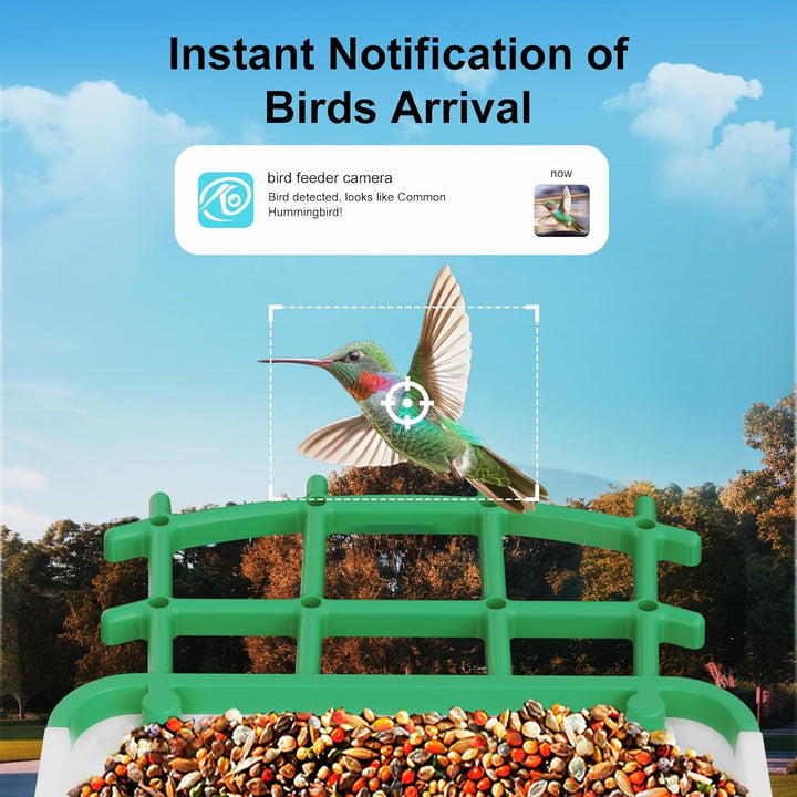 Bird Feeder with Camera AI Identify Birds Species Solar Panel - Smart Bird House with 1080P HD+ Video Live Stream, Instant Arrival Alerts, Live View, Capture Video, Bird Lover Watching (Green)