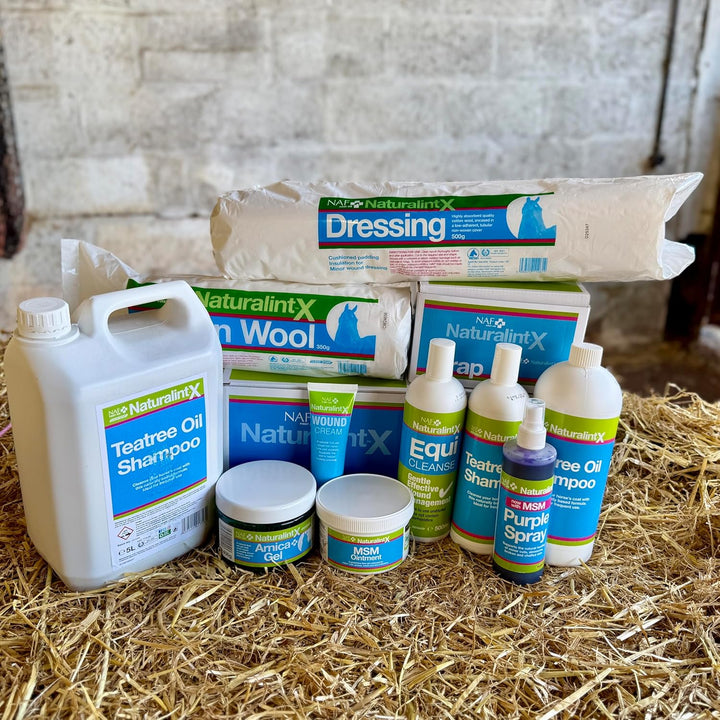 Naturalintxtm Cotton Wool 350G