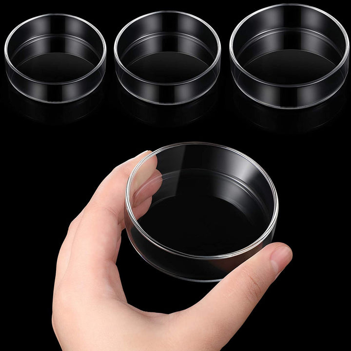 3 Pieces Aquarium Shrimp Feeding Dish Clear Glass Fish Tank Feeding Bowl Food Bowl Freshwater Tray Feeder, 60Mm, 65Mm, 80Mm