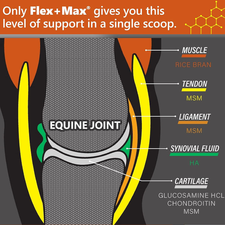 Flex+Max Horse Joint Supplement Pellets, Highly Palatable, Comprehensive Equine Formula with Glucosamine, MSM, Chondroitin & Flaxseed, 10Lb Tub / 60 Day Supply