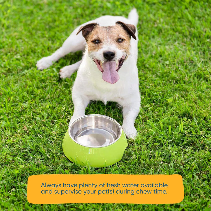 Filled Cow Hooves for Dogs – Delicious Peanut Butter, Cheese, Beef, Bacon Flavor Dog Treats (10 Count), Long-Lasting Dog Chews, Stuffed Hooves for All Breeds, Grass-Fed Brazilian Cattle