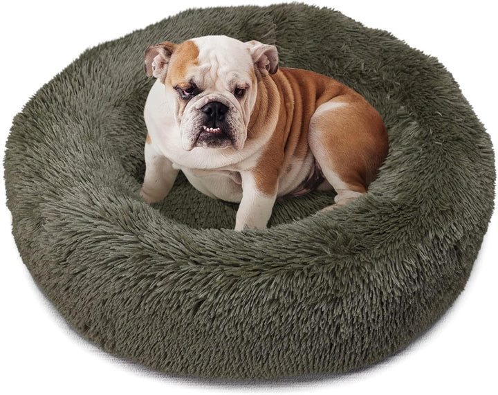 Small Calming Dogs Bed for Small Dogs Anti-Anxiety Machine Washable Fluffy Luxury Anti-Slip Waterproof Mute Base Warming Cozy Soft Pet Puppy round Bed