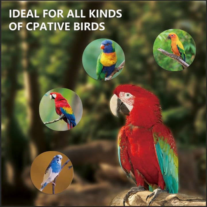 UVA UVB Light Bulb for Birds 2.4 UVB 20W Compact Flourescent Lamp for All Kinds Captive Birds