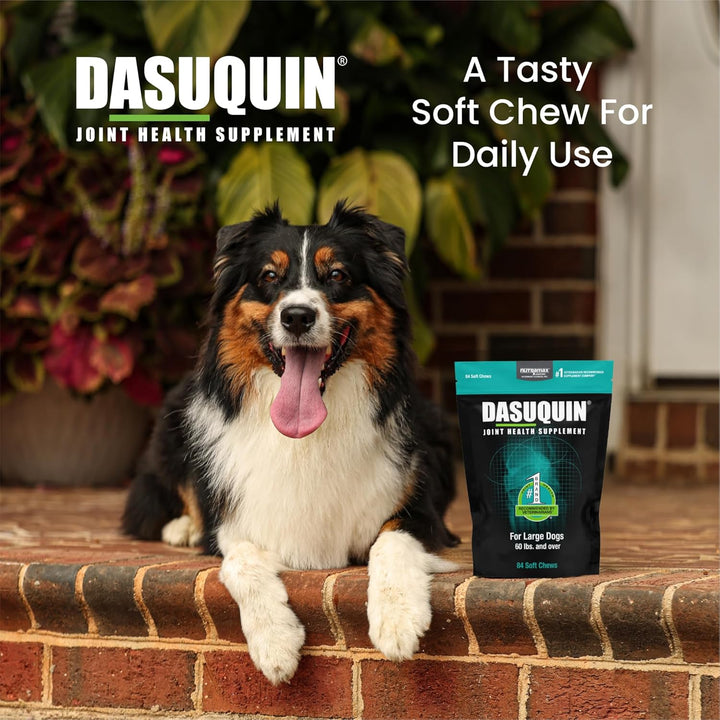 Dasuquin Joint Health Supplement for Large Dogs - with Glucosamine, Chondroitin, ASU, Boswellia Serrata Extract, and Green Tea Extract, 84 Soft Chews, DASL84SC