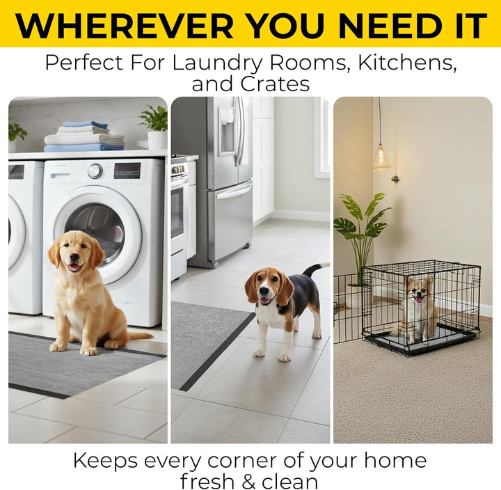 for Pets Black Charcoal Puppy Pads, 23"X23" Disposable Pee Pad That Absorbs & Neutralizes Urine Instantly, Activated Carbon Training Pads for Dogs - 100 Count