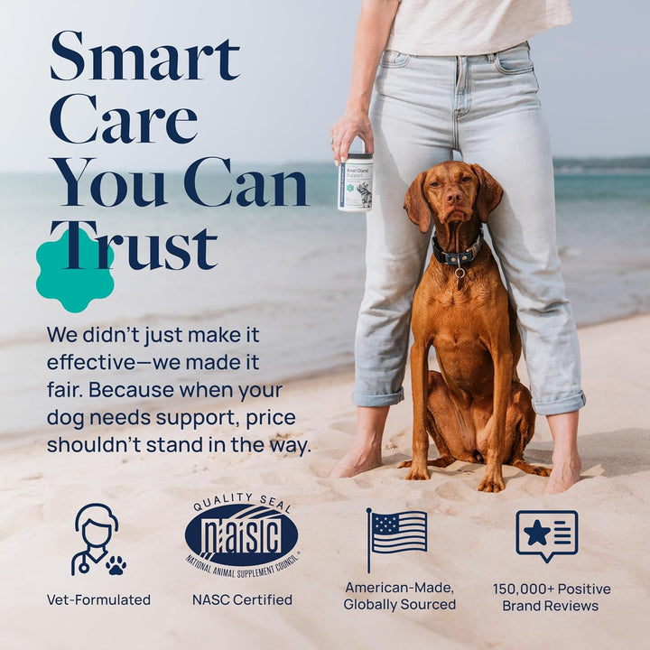 Anal Gland Support for Dogs – Vet-Formulated No Scoot Chews with Pumpkin, Ginger, Agave Inulin & Probiotics – Supports Scooting, Stool Quality & Digestive Health, 60 Soft Chews