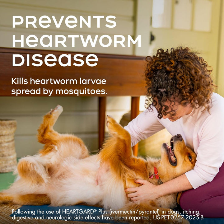 ® plus (Ivermectin/Pyrantel) Real-Beef Chewables for Dogs up to 25 Lbs (Blue Box) 6 Month Supply of Chews (Heartworm Disease Preventive)