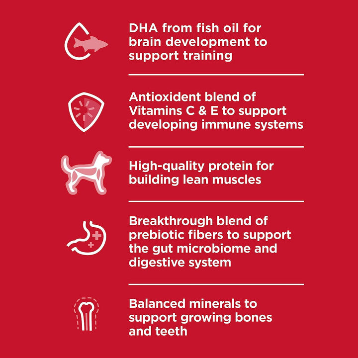 Puppy, Puppy Premium Nutrition, Small Kibble, Dry Dog Food, Chicken & Brown Rice, 4.5 Lb Bag