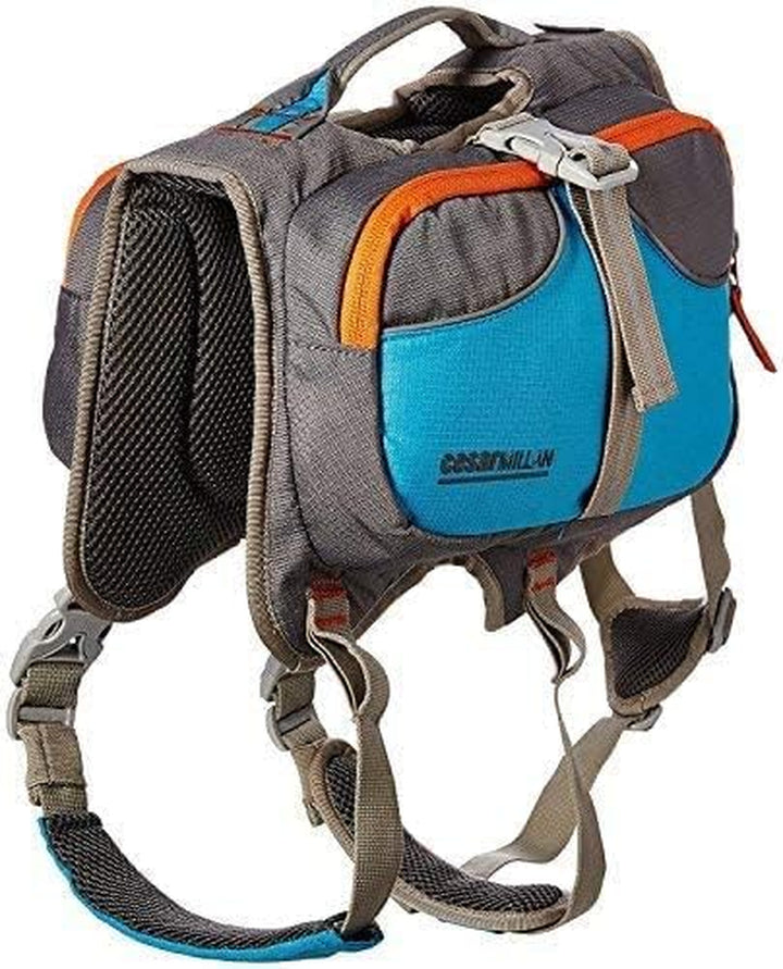 Dog Backpack Large Blue