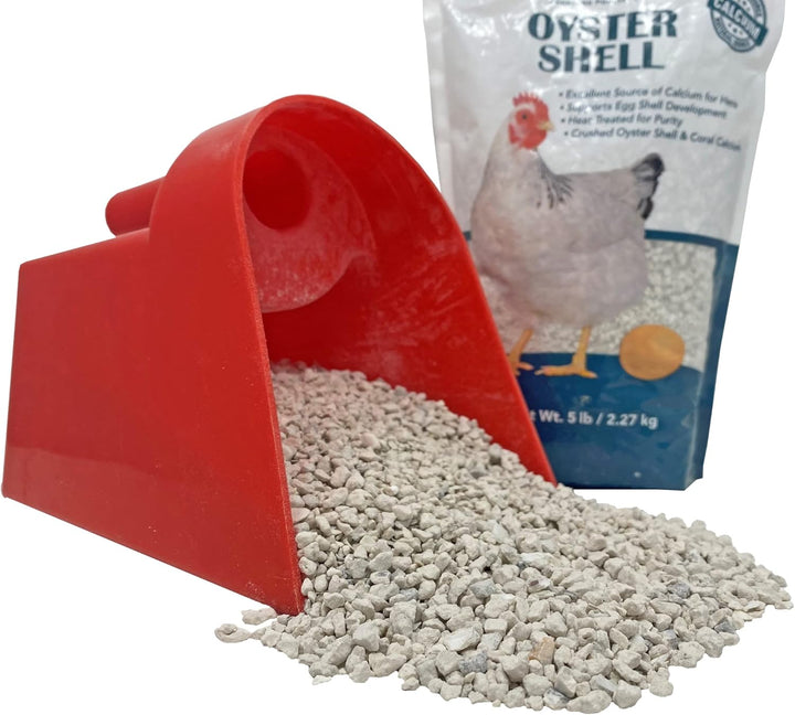 Oyster Shell - Calcium Supplement to Support Laying Hens and Strong Egg Shell Development (5 LB)