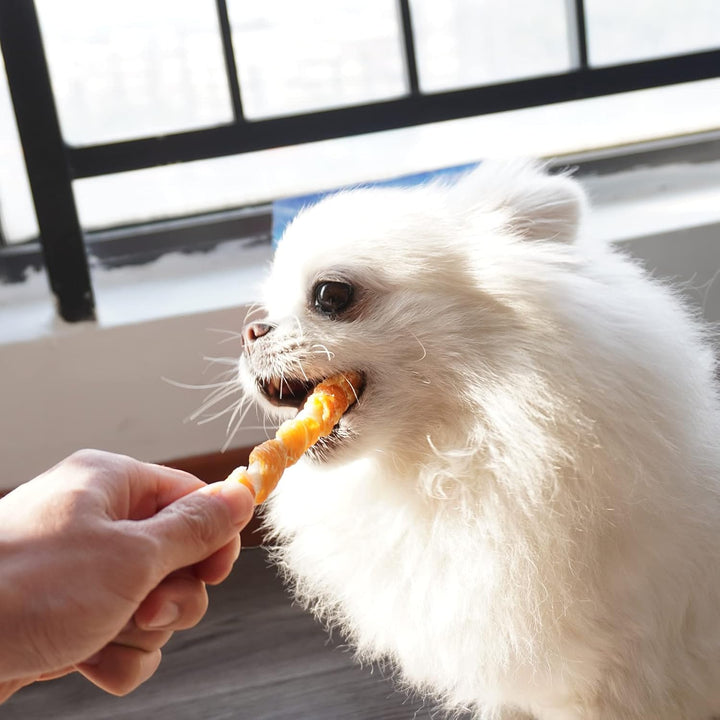 Dog Treats, Rawhide Twist Chicken Hide Sticks, Suitable for Puppy and Small Dogs, 5 Inch (Chicken, Pack of 40)