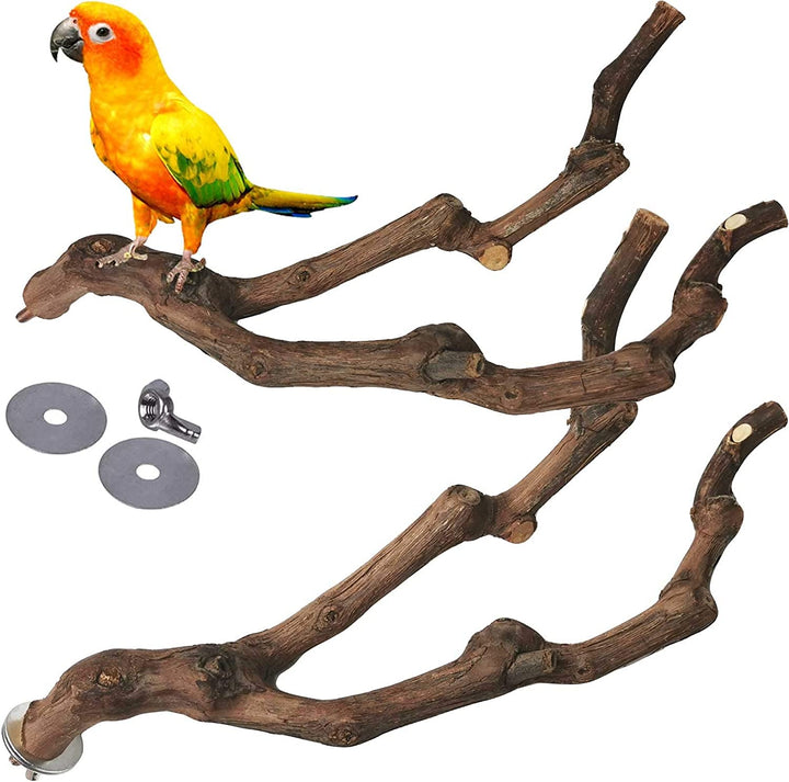 Natural Parrot Perch Bird Stand Pole Wild Grape Stick Paw Grinding Fork Parakeet Climbing Standing Branches Toy Chewable Cage Accessories for Small Budgies Cockatiels Lovebirds 3PCS