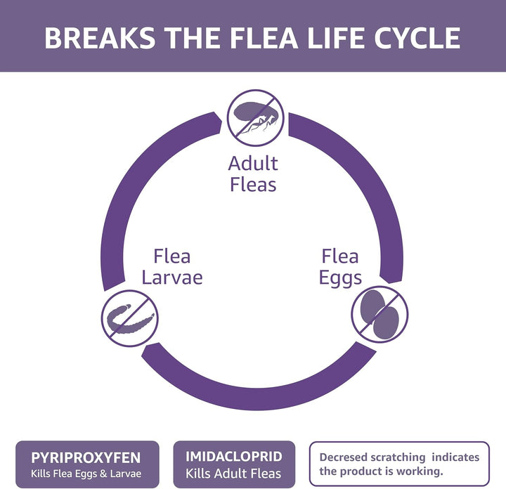 Topical Flea Treatment for Large Cats (Over 9 Pounds), 4 Count (Previously Solimo)