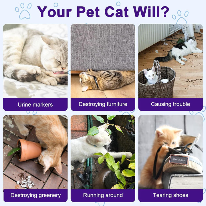 Cat Deterrent Spray - Natural Cat Repellent Spray for Furniture, Safe Indoor & Outdoor Training Aid for Urine Marking & Anti-Scratch (200 ML)