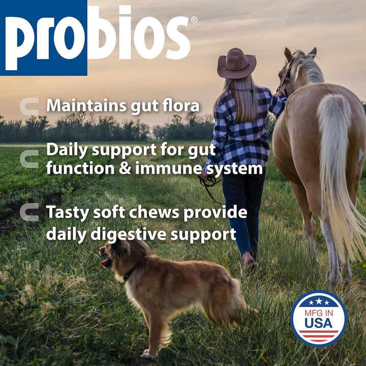 for Horses Soft Chews, Daily Probiotic Supplement for Gut Health, Digestion & Immune Support, Horse Supplies, Apple Flavor, 1.32 Lbs (600 Grams)