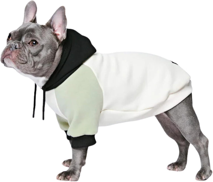Dog Hoodie – Premium Dog Sweater for Small, Medium, and Large Dogs | Warm Outfits for French Bulldogs, Pitbull, Puppy, Winter Jacket Alternative - Cyber Punk - 3XL