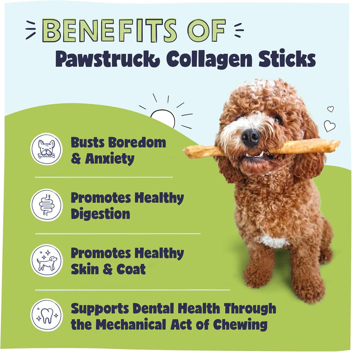 Natural Large 12" Beef Collagen Sticks for Dogs – Long-Lasting Rawhide Alternative, High Protein Treats with Chondroitin & Glucosamine – 5 Pack