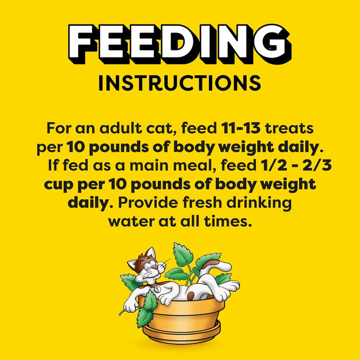 Classic Crunchy and Soft Cat Treats Blissful Catnip Flavor, 16 Oz. Tub