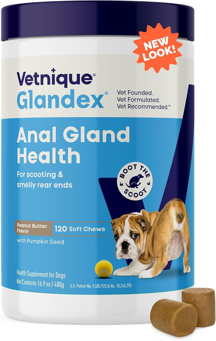 Glandex Anal Gland Soft Chew Treats with Pumpkin for Dogs Digestive Enzymes, Probiotics Fiber Supplement for Dogs Boot the Scoot (Peanut Butter Chews, 60 Count)