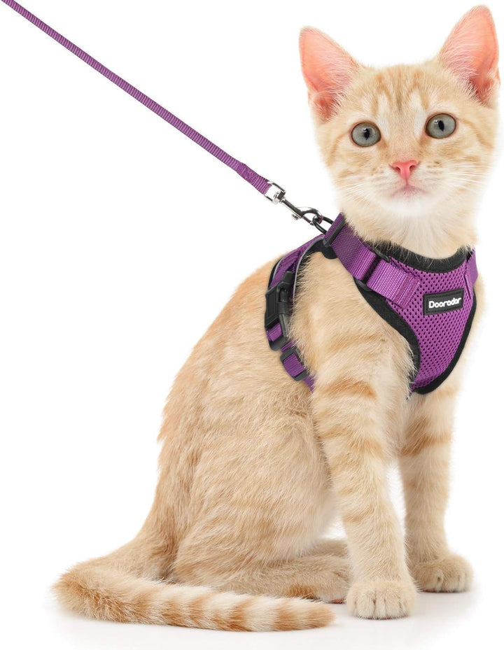 Cat Harness and Leash Set, Escape Proof Safe Adjustable Kitten Vest Harnesses for Walking, Easy Control Soft Breathable Mesh Jacket with Reflective Strips for Cats, Pink, XS