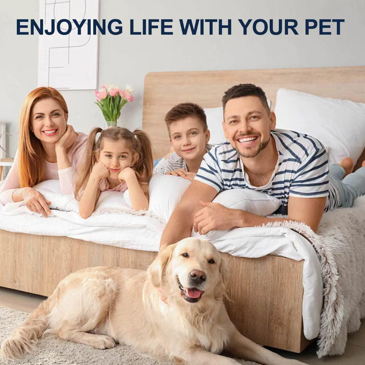 2 Bottles Cat Deterrent Spray – Natural, Non-Toxic Anti-Scratch Spray for Cats & Kittens – Indoor & Outdoor Pet Training Aid – Furniture & Carpet Protector (Blue, M)