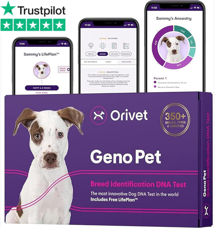 Genopet Dog DNA Test – Dog Breed Test Kit USA | Canine Ancestry & Genetic Health Screening by Age, Weight & Gender | At-Home Swab | Results in 21-25 Days after Activation