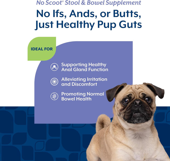 - No Scoot for Dogs - 60 Soft Chews - plus Pumpkin - Supports Healthy Anal Gland & Bowel Function - Enhanced with Beet Pulp & Psyllium Husk