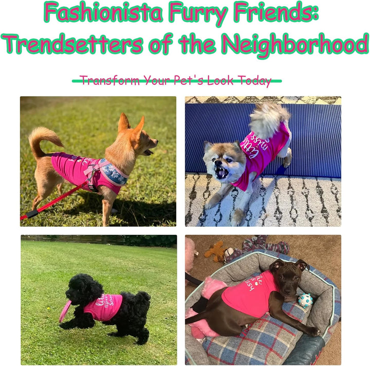 Dog Clothes Fashionable Sleeveless Pet Vest: 'Little Miss Sassy' Printed Cotton Dog Shirt, Ideal for Small, Medium, and Large Breeds, Ensuring Comfort and Breathability Rose Red S