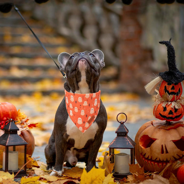 Halloween Dog Bandana, Ghost Pumpkin Design Reversible Holiday Dog Scarf, Triangle Halloween Bandanas for Medium Large Dogs Pets (Large)