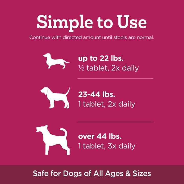 Stop the Runs | Dog anti Diarrhea Medicine | 6 Count Chewable | Chicken Flavor