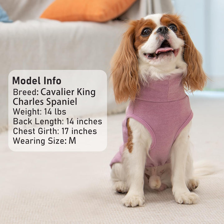 2Pack Dog Sweater Soft Dogs Clothes Warm Dachshund Clothes Turtleneck Pets Coats Dog Sweaters for Small Dogs Girl Pullover Small Pet Sweaters Stretchy Pet Sweatshirt