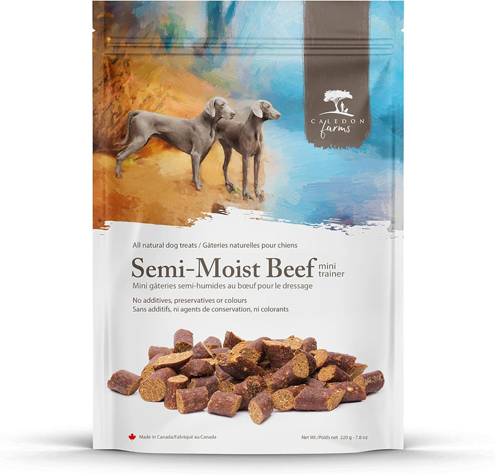 Mini Trainers- Semi Moist Chicken Treat Dog Treats:220G/7.8Oz